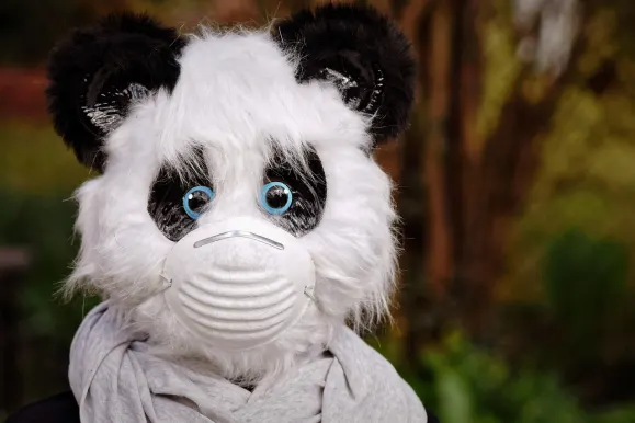 SilverPlay Kazino Pagalba